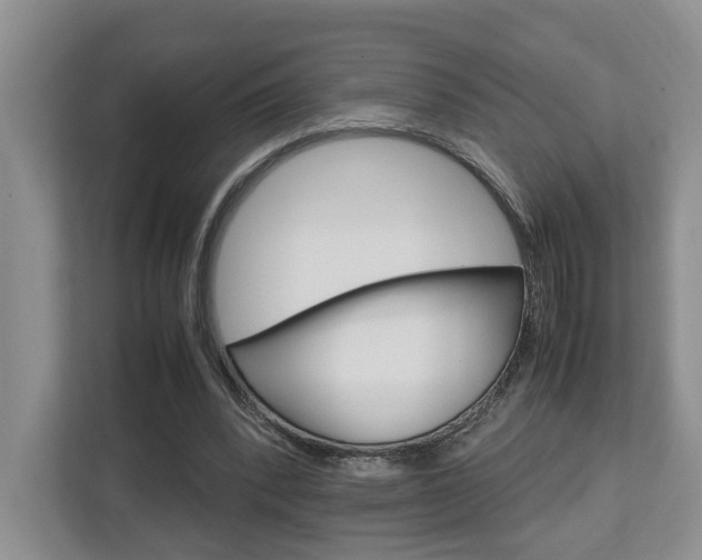 X0000112750392200908201017