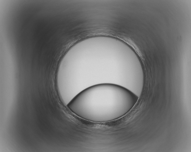 X0000112750393200908201017