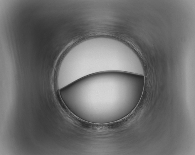 X0000112750395200908201017