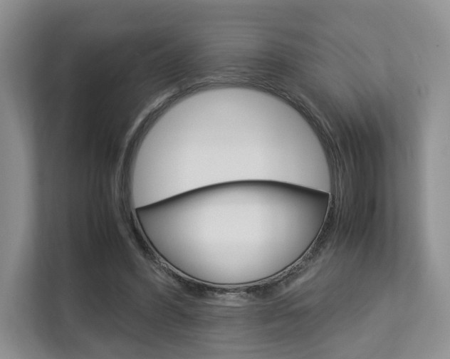X0000112750396200908201017