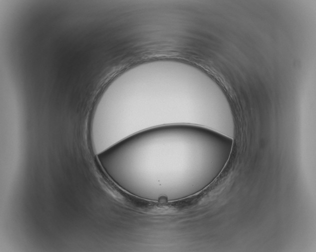 X0000112750397200908201017