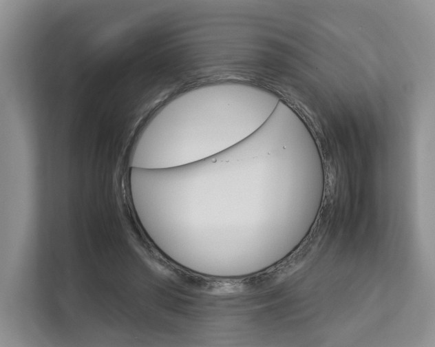 X0000112750398200908201017