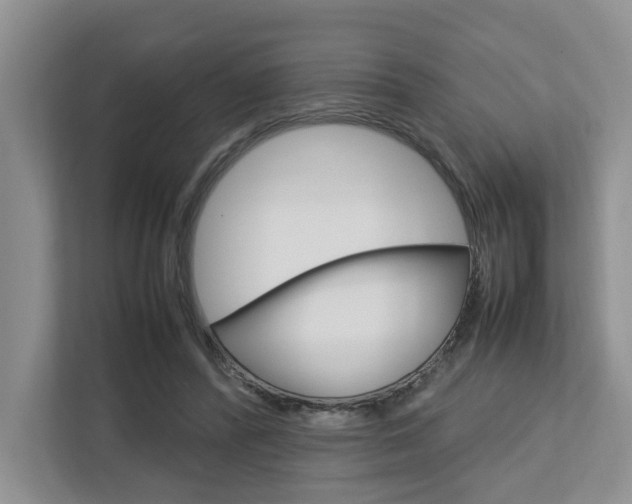 X0000112750400200908201017