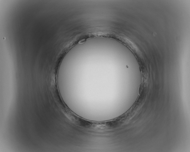 X0000112750401200908201017