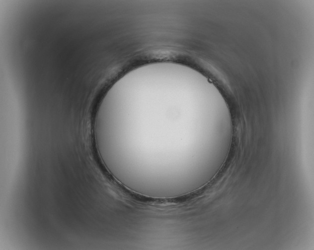 X0000112750407200908201017