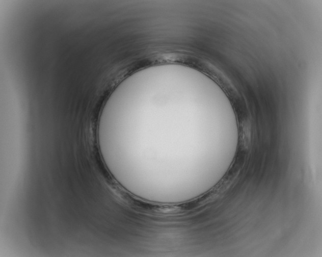 X0000112750410200908201017
