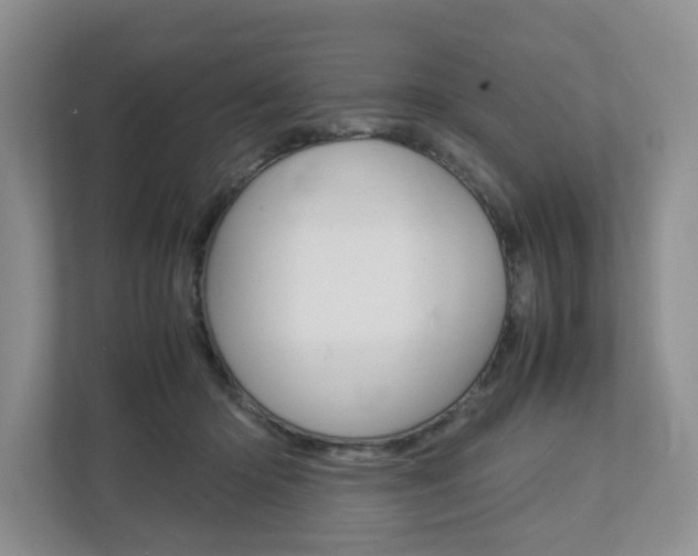 X0000112750414200908201017