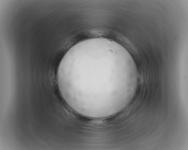 X0000112750418200908201017