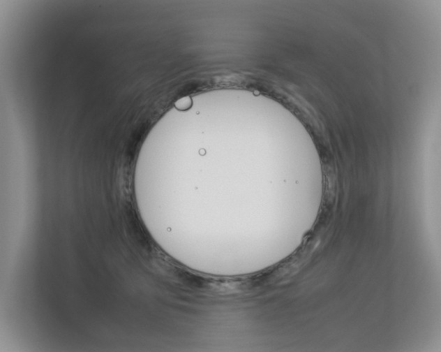 X0000112750419200908201017