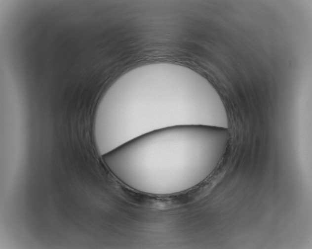 X0000112750420200908201017
