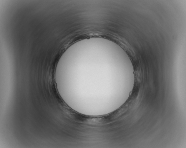 X0000112750422200908201017