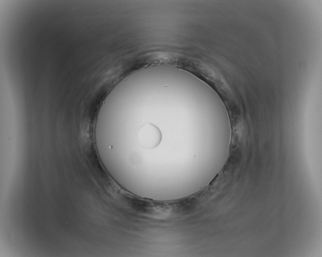 X0000112750423200908201017