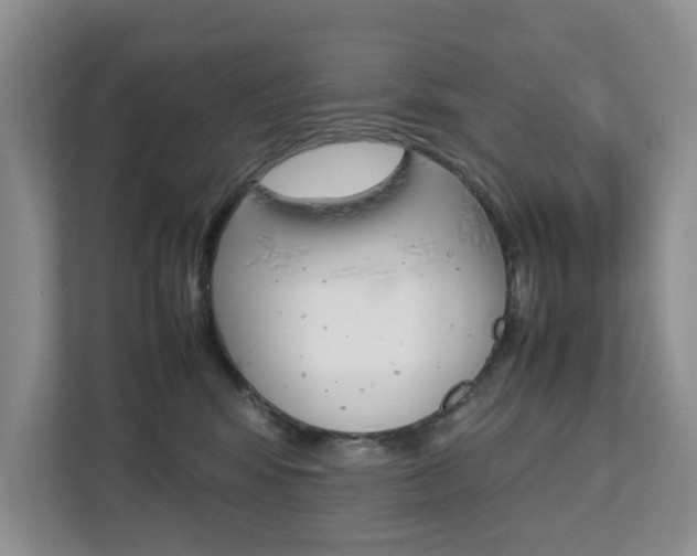 X0000112750424200908201017
