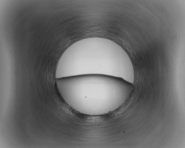 X0000112750428200908201017