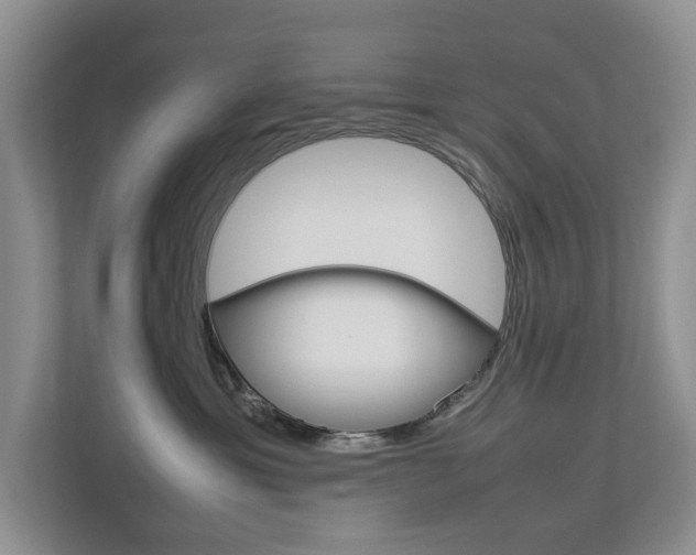 X0000112750429200908201017