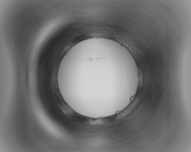 X0000112750430200908201017
