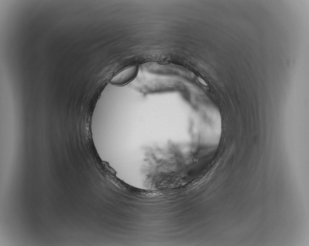 X0000112750432200908201017
