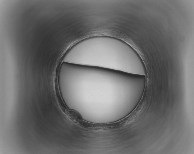 X0000112750434200908201016