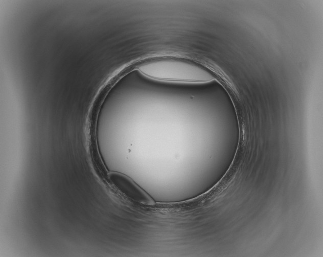 X0000112750436200908201016