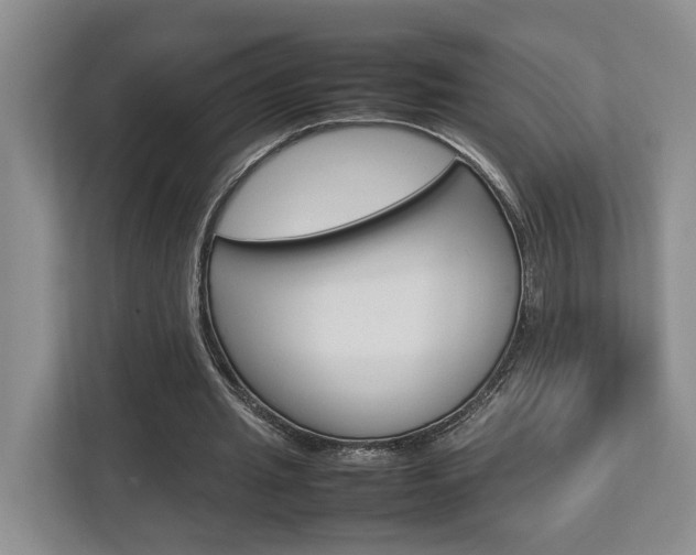 X0000112750437200908201016