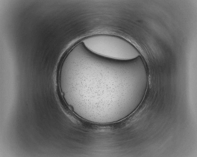 X0000112750438200908201016