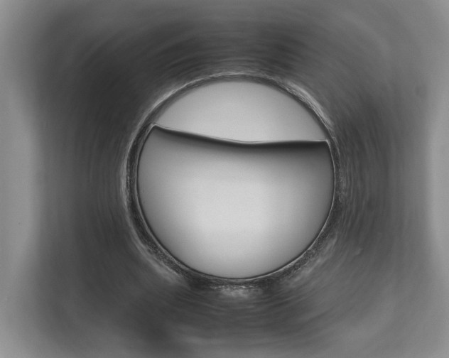 X0000112750439200908201016