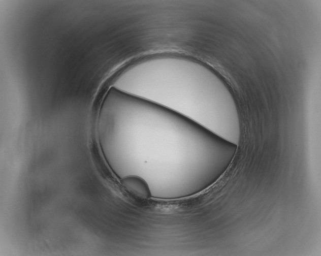 X0000112750440200908201016