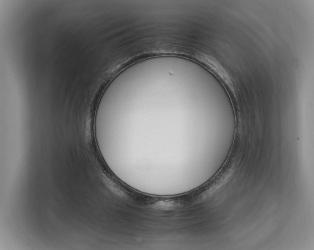 X0000112750441200908201016