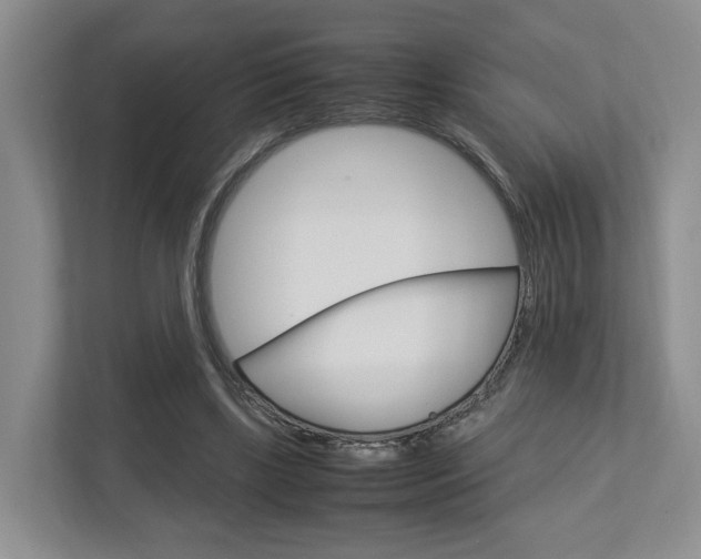 X0000112750443200908201016