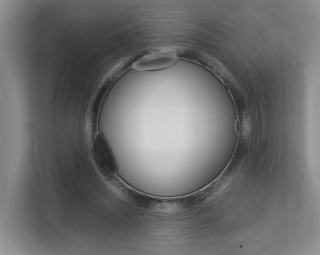 X0000112750444200908201016