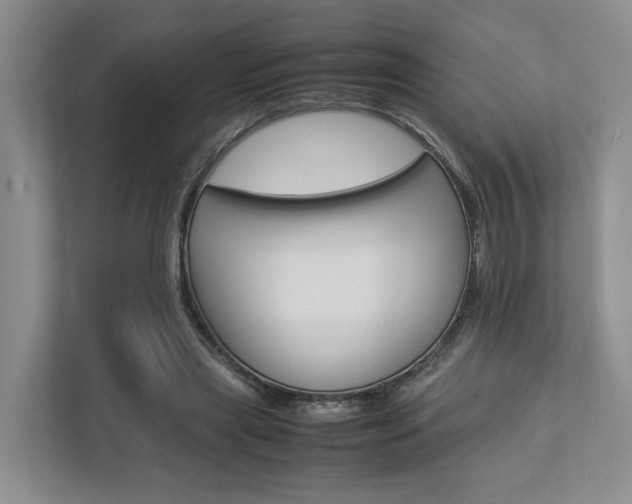 X0000112750445200908201016