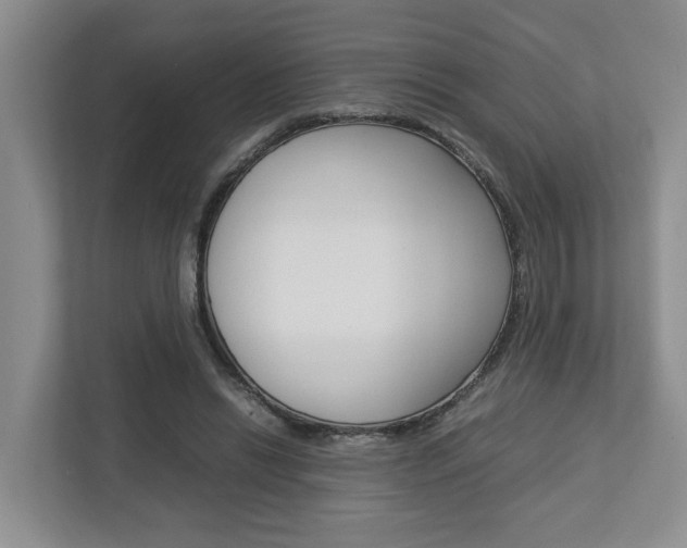 X0000112750446200908201016