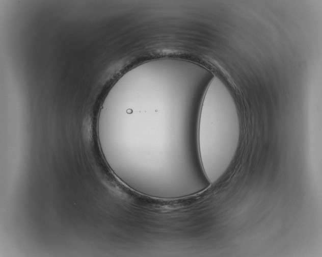 X0000112750447200908201016