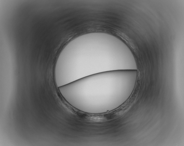 X0000112750449200908201016