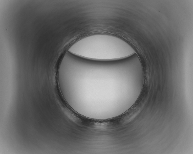 X0000112750450200908201016