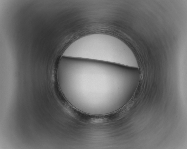 X0000112750452200908201016
