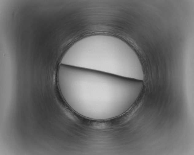 X0000112750454200908201017