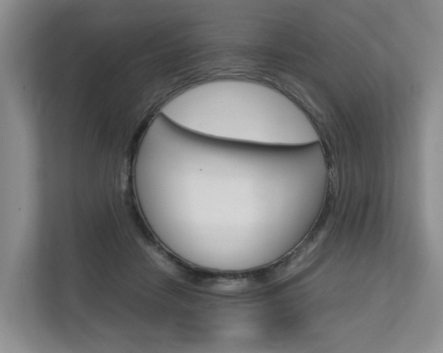 X0000112750458200908201017