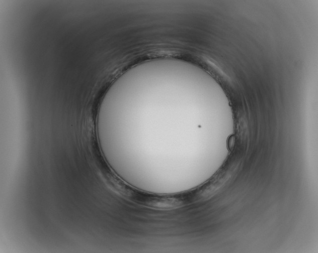 X0000112750459200908201017