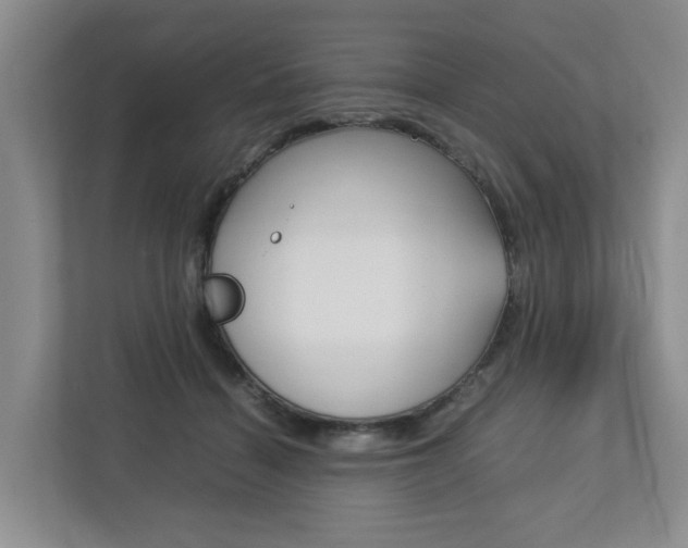X0000112750460200908201017
