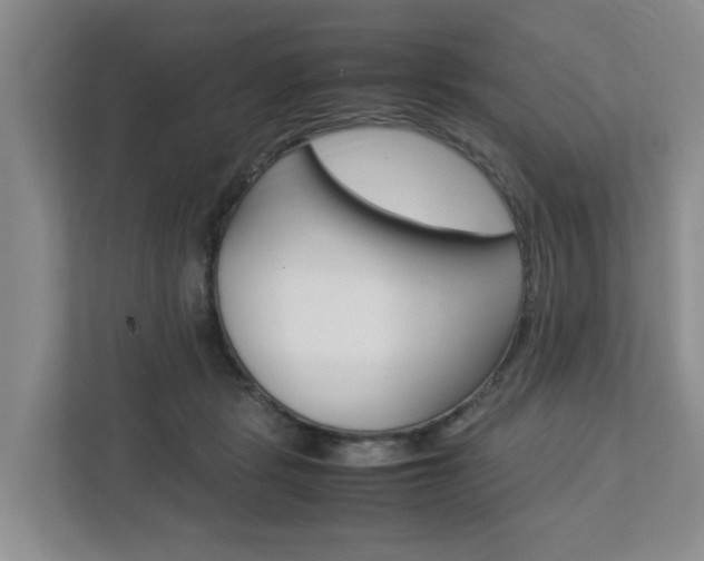 X0000112750461200908201017