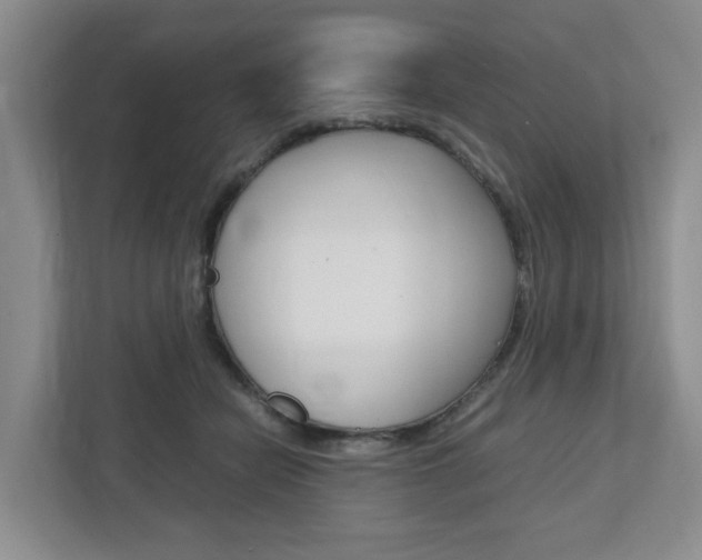 X0000112750462200908201017