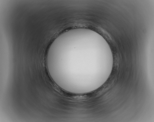 X0000112750465200908201017