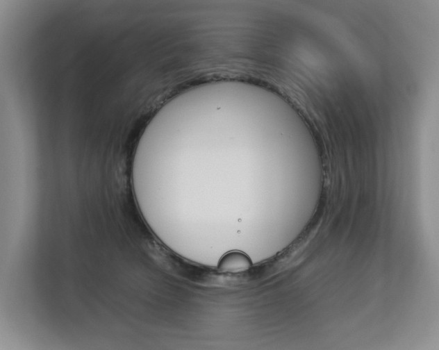 X0000112750466200908201017