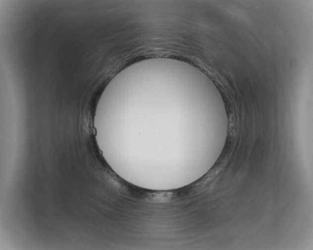 X0000112750474200908201017
