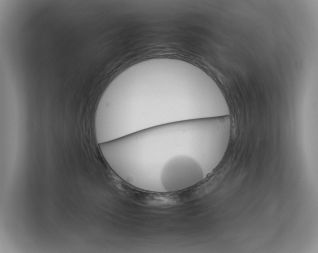 X0000112750475200908201017