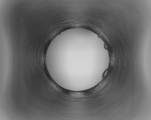 X0000112750476200908201017