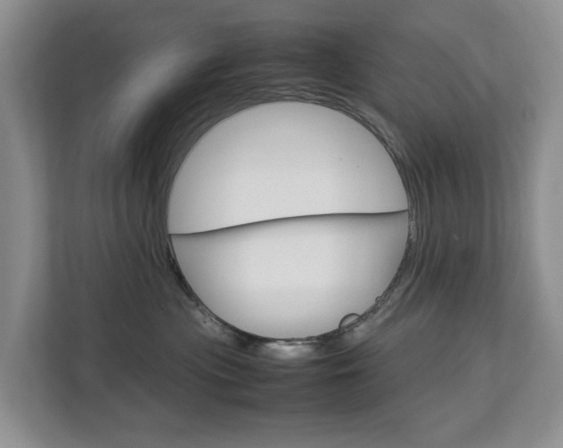 X0000112750477200908201017