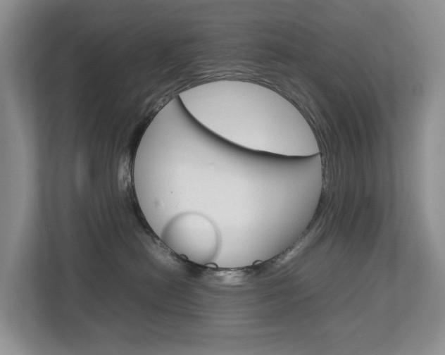 X0000112750478200908201017