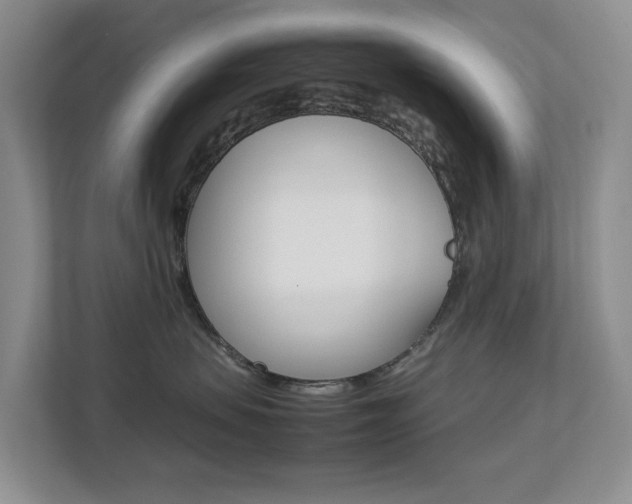 X0000112750479200908201017